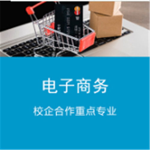 什么是科技电子商务专业